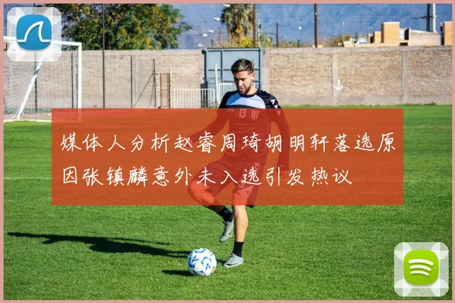 媒体人分析赵睿周琦胡明轩落选原因张镇麟意外未入选引发热议